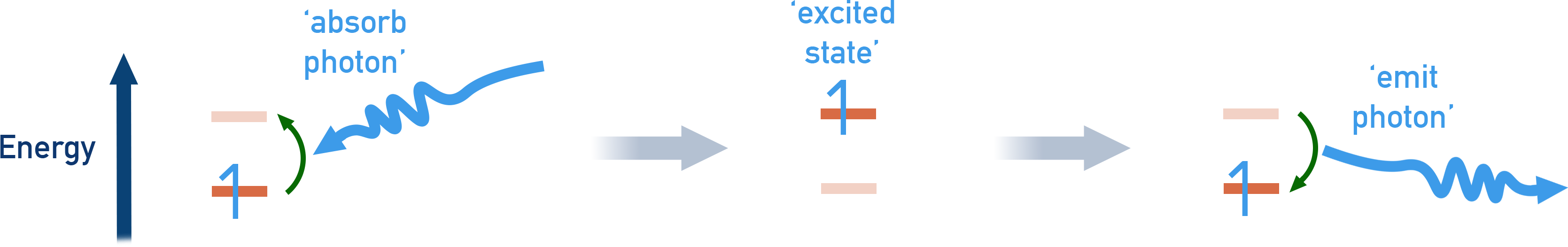 AP Chemistry diagram showing photon absorption raising an electron to an excited state, and photon emission when it drops back to the ground state.