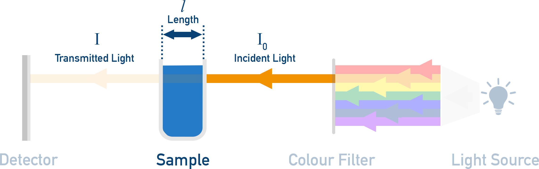 AP Chemistry schematic of a spectrophotometer showing incident light I0, cuvette path length, transmitted light I, and detector.