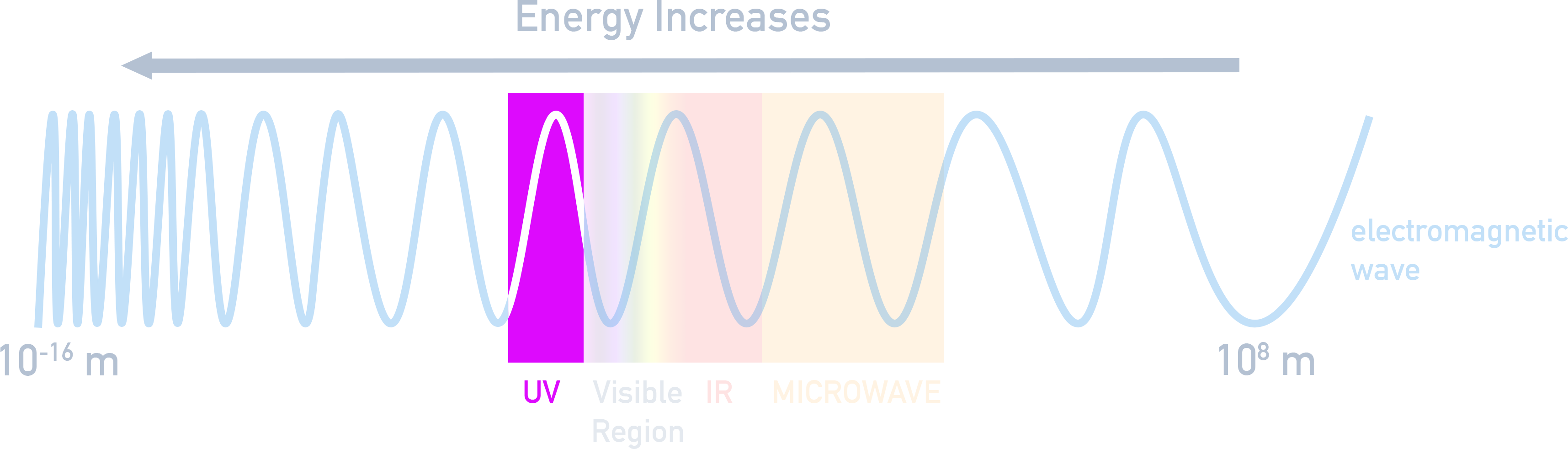 AP Chemistry spectrum highlight of the ultraviolet and visible regions on the electromagnetic spectrum.