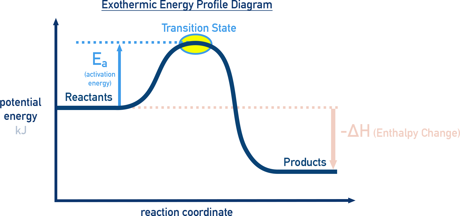 Exothermic energy profile diagram
