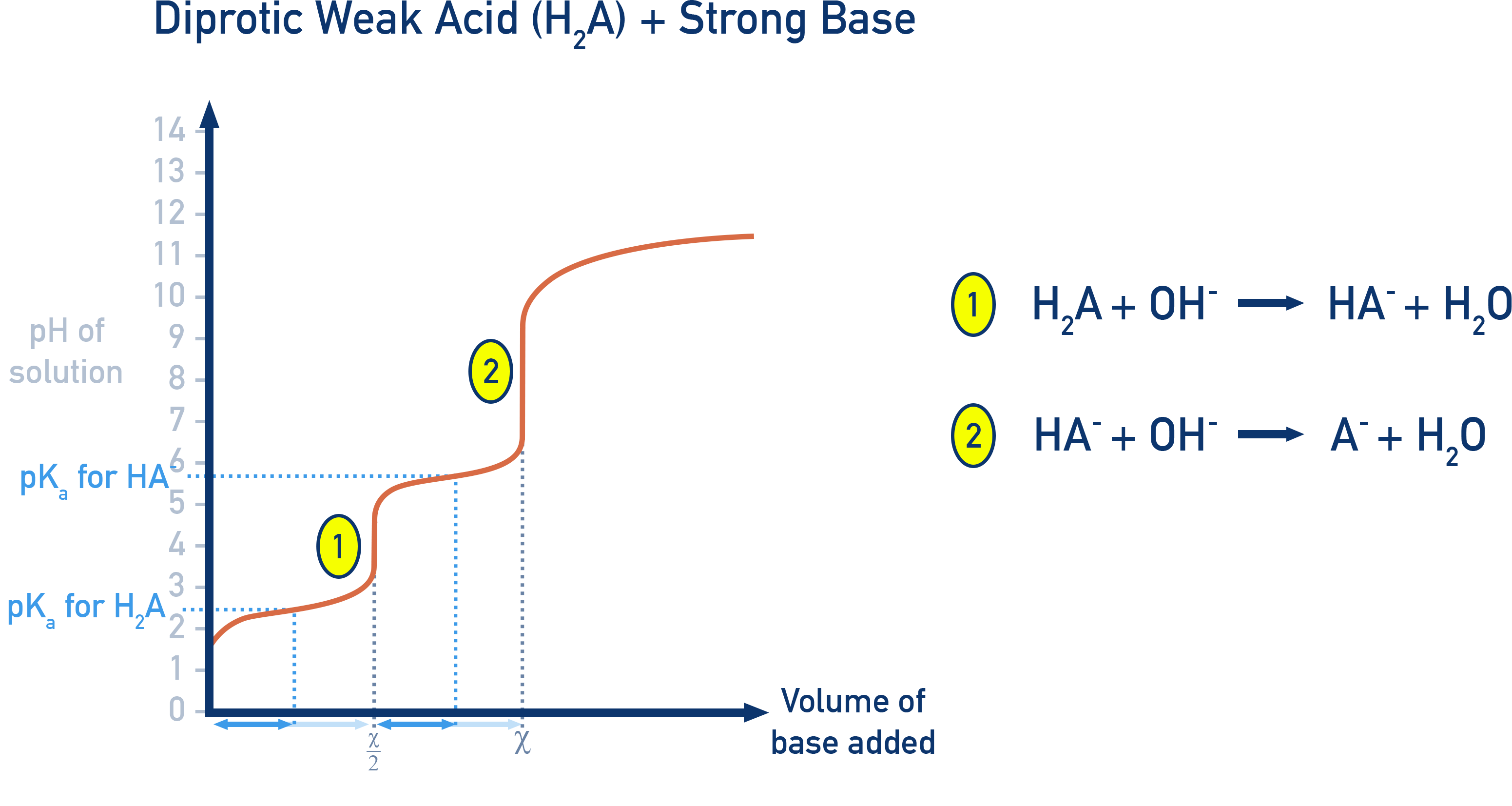 AP Chemistry titration curve for a diprotic weak acid showing two equivalence points.