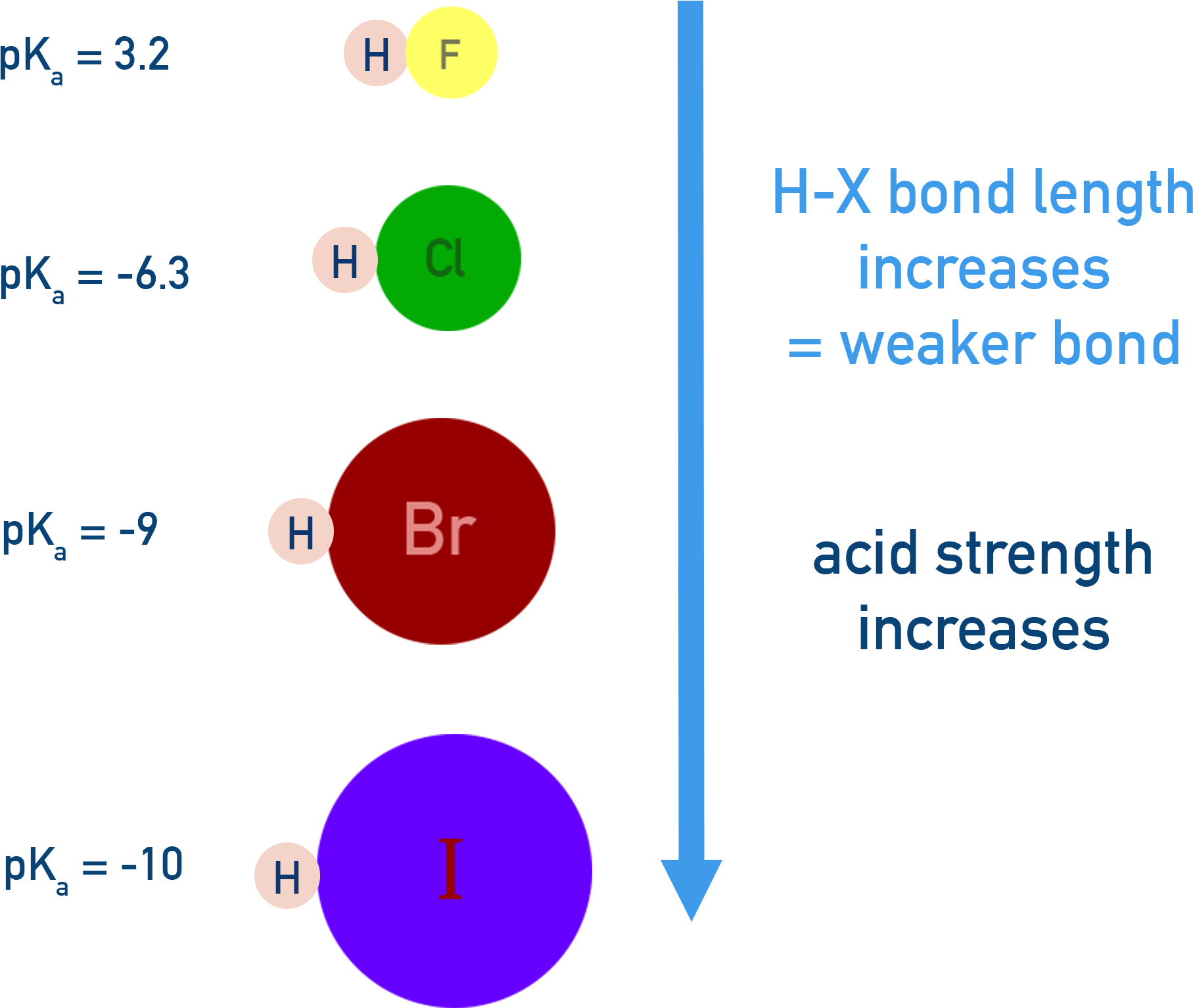 AP Chemistry comparison of hydrogen halides showing acid strength increases from HF to HI as H–X bond strength decreases; HI is strongest.