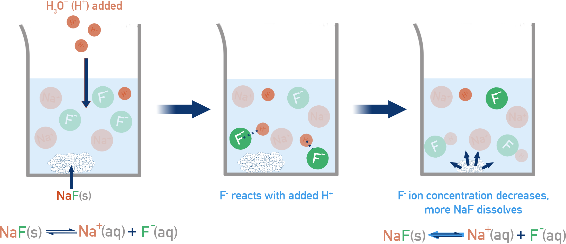 AP Chemistry diagram showing that adding acid to a NaF solution consumes F− to form HF; equilibrium shifts right and more NaF dissolves, increasing solubility.