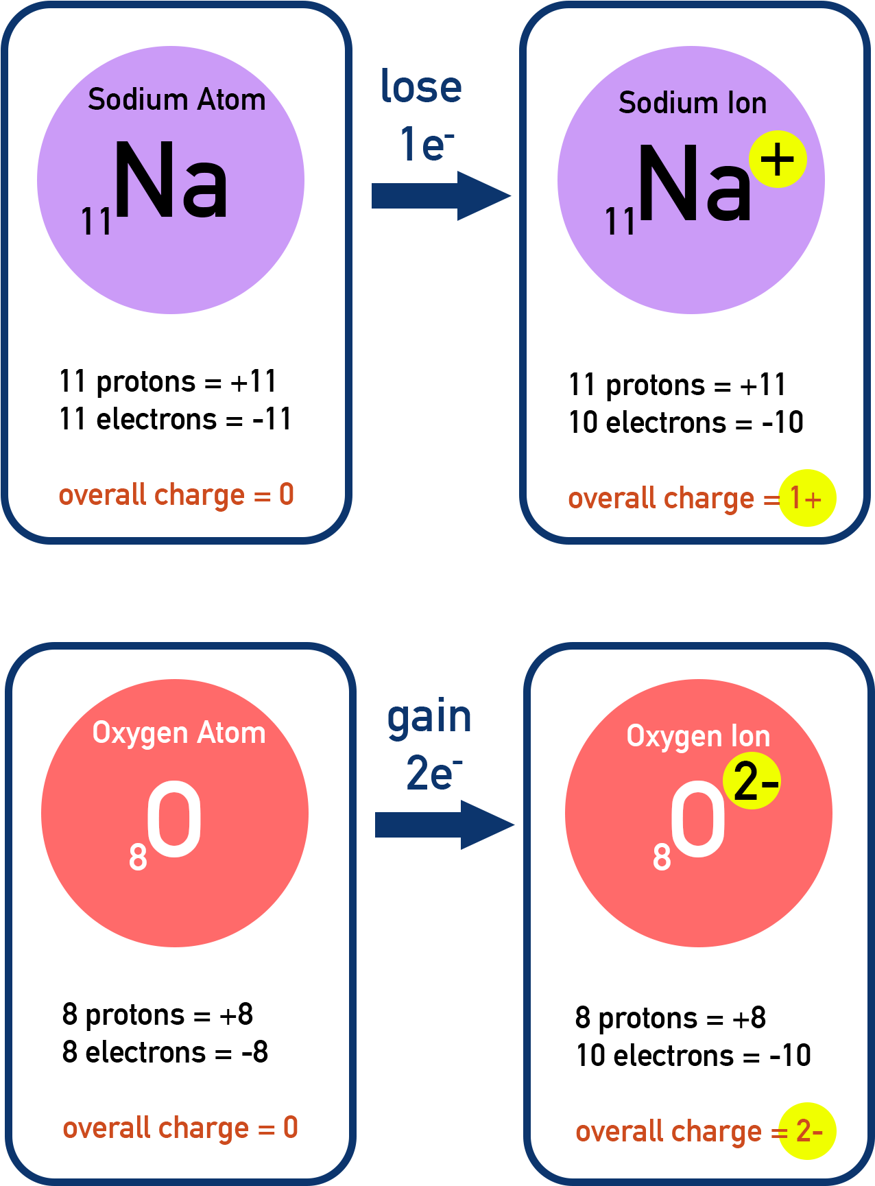 AP Chemistry diagram showing sodium atom and sodium ion with protons, electrons and charge.