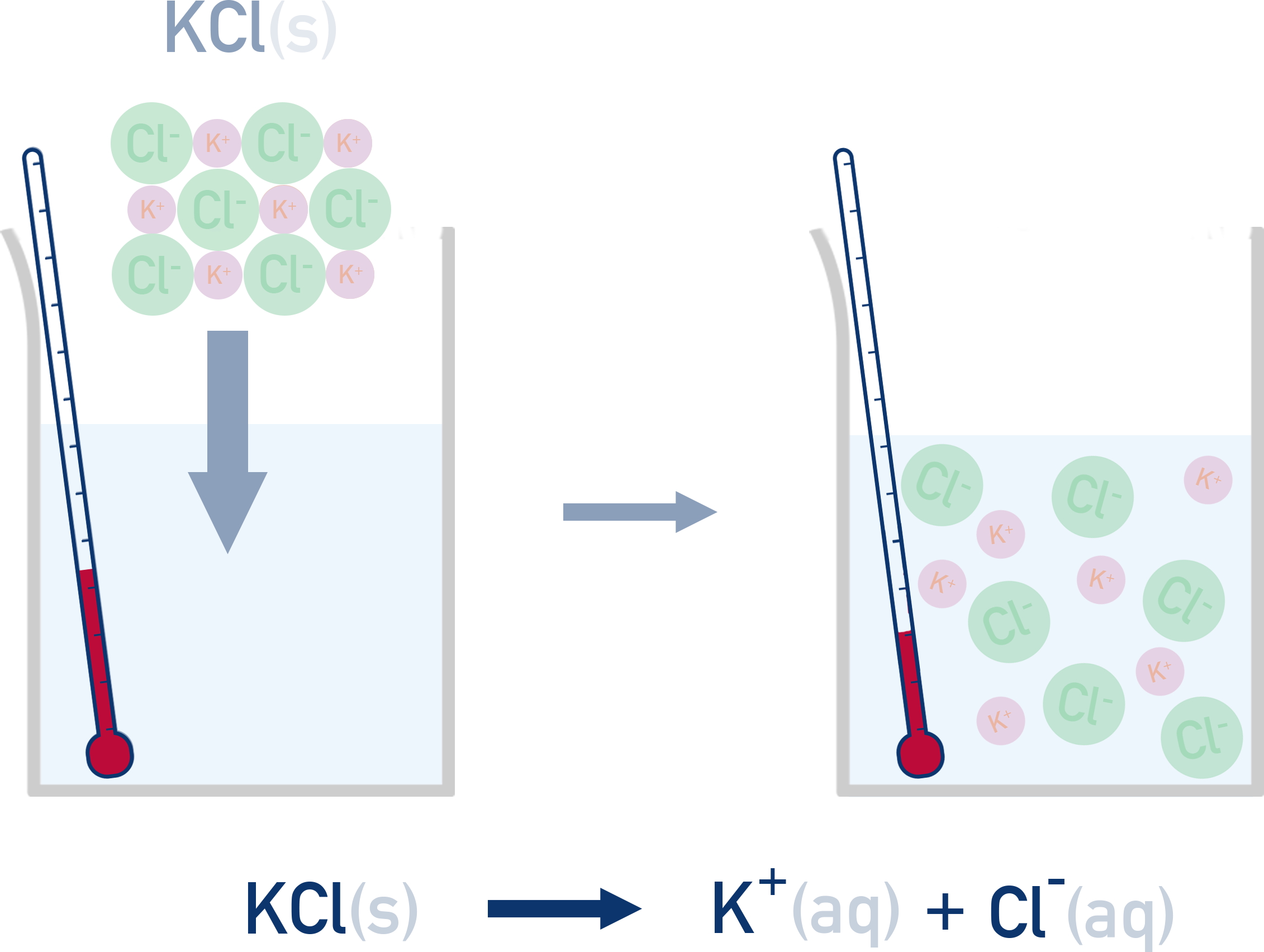 AQA A-Level Chemistry calorimetry of solution: KCl(s) dissolving to form K+(aq) and Cl−(aq) with temperature change shown by thermometer.
