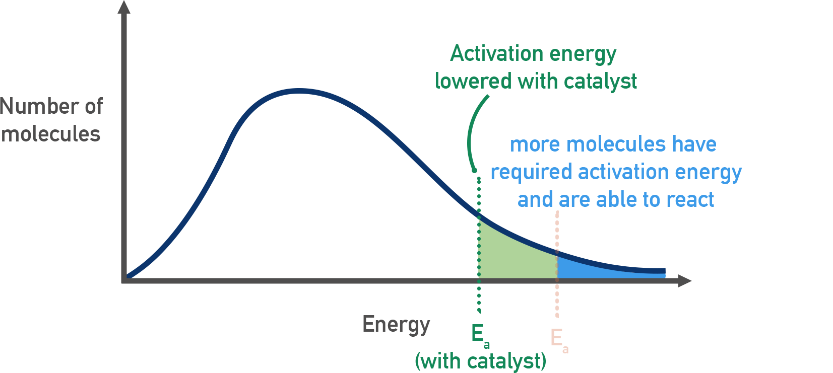 AQA A-Level Chemistry Maxwell–Boltzmann style schematic highlighting that only molecules with energy beyond E a can react; a catalyst effectively lowers E a threshold.