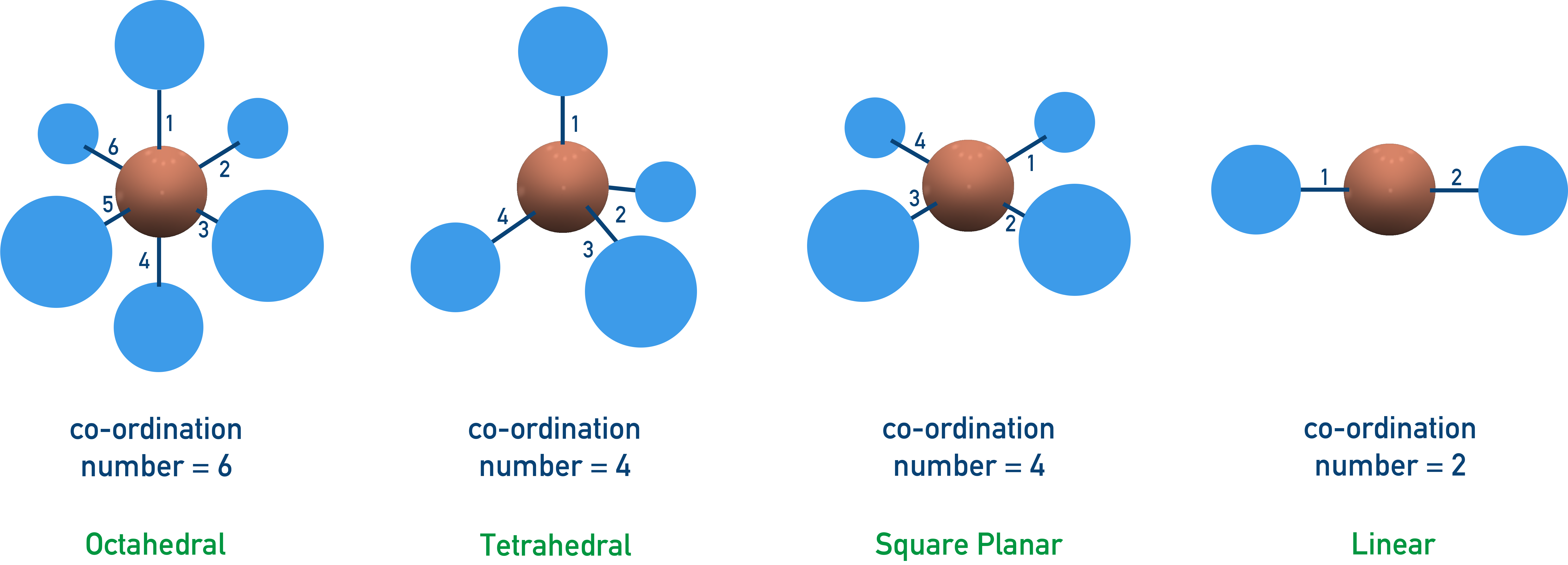 AQA A-Level Chemistry overview of complex ion shapes: octahedral, tetrahedral, square planar, and linear