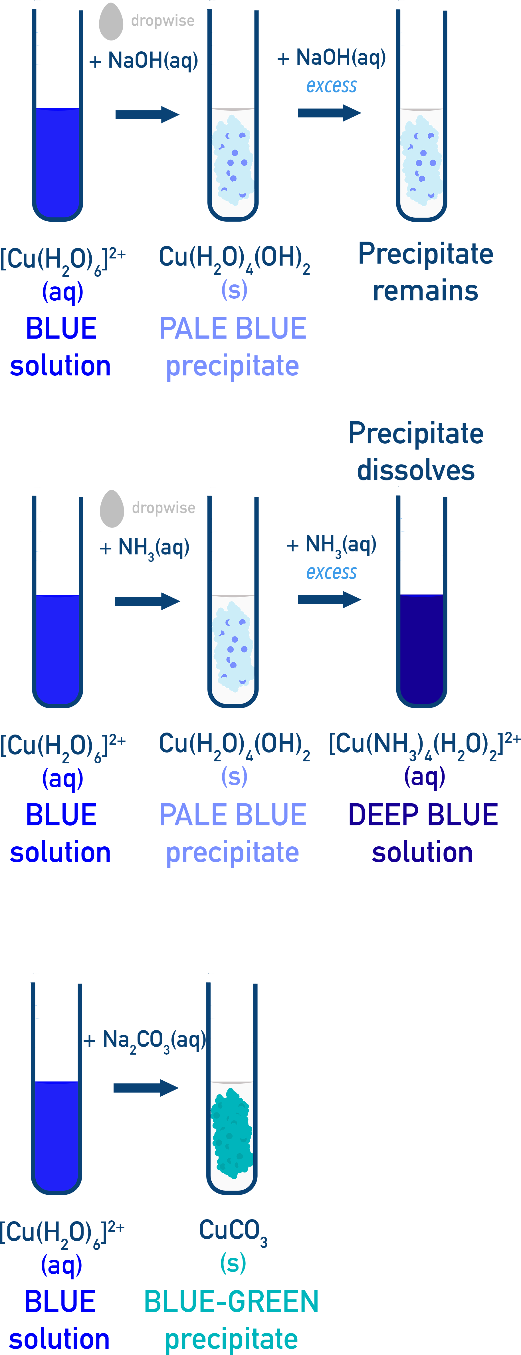 AQA A-Level Chemistry test-tube sequence for Cu2+ with OH-, NH3 and CO3 2- showing blue Cu(OH)2 precipitate, deep blue ammine complex in excess NH3, and blue-green CuCO3