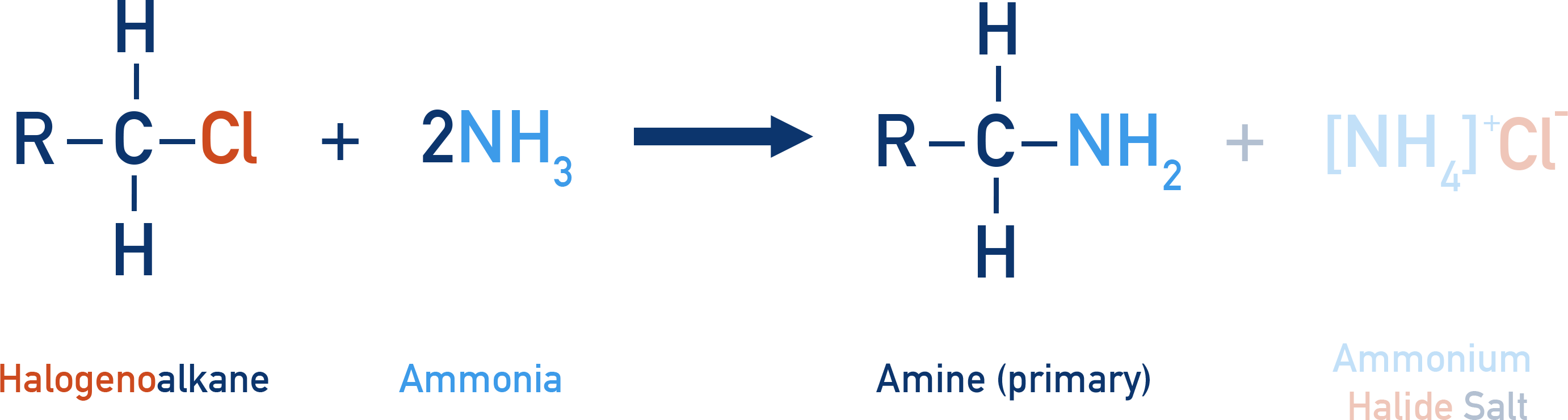 AQA A-Level Chemistry scheme showing ammonia reacting with a halogenoalkane to form a primary amine via nucleophilic substitution
