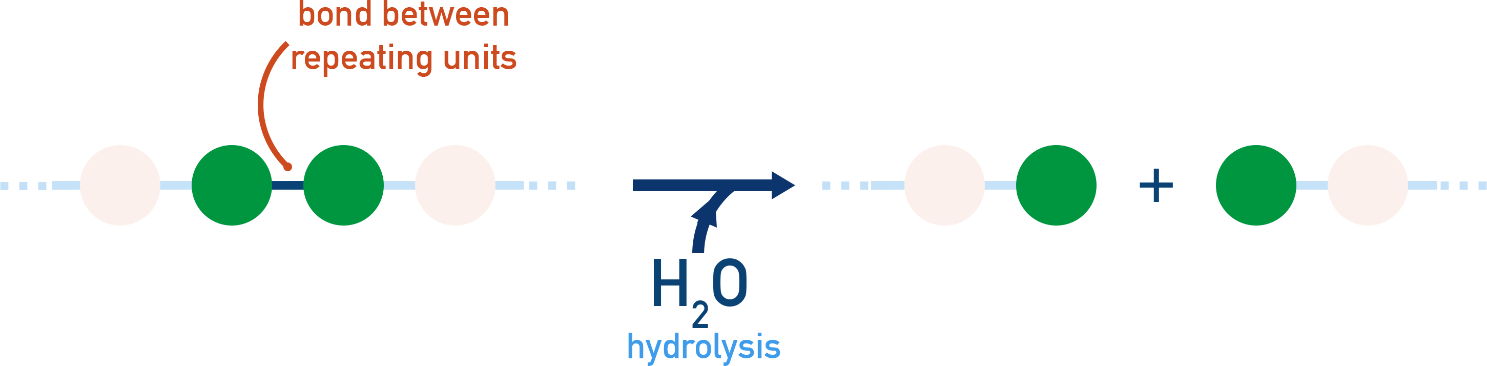 AQA A-Level Chemistry schematic showing hydrolysis breaking ester and amide links in condensation polymers