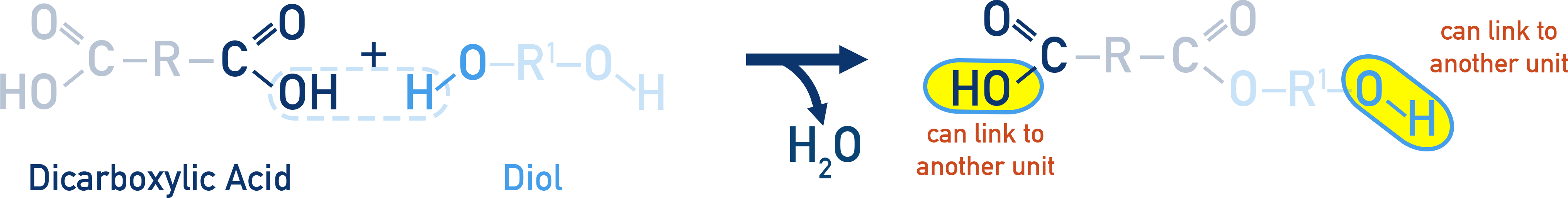 AQA A-Level Chemistry mechanism-style diagram showing step-growth formation of polyester links with water elimination