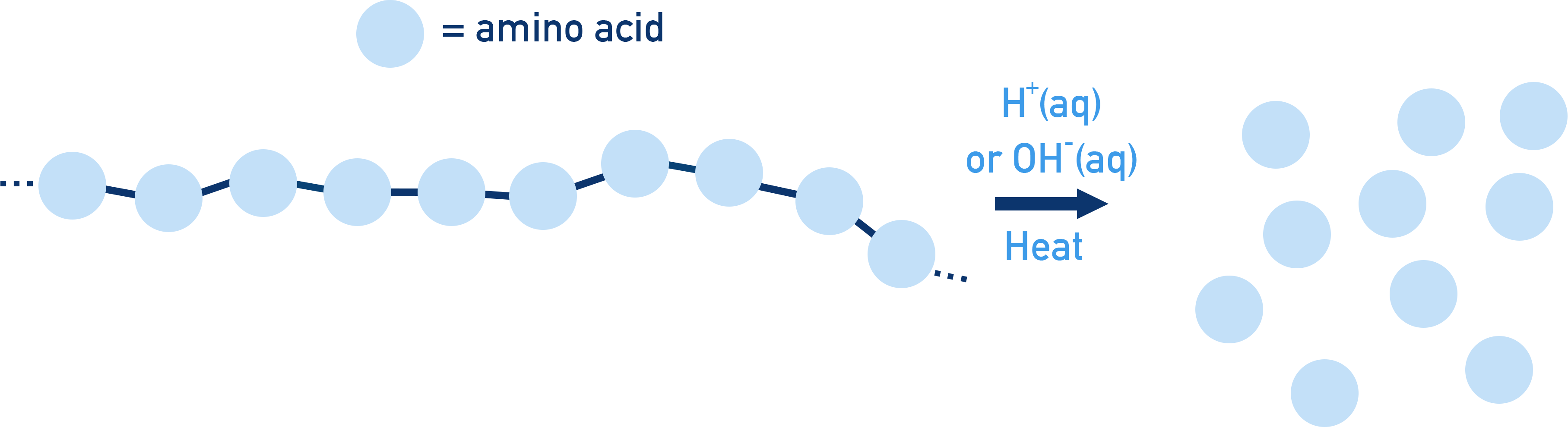AQA A-Level Chemistry diagram showing protein hydrolysis to give amino acids using acid or alkali