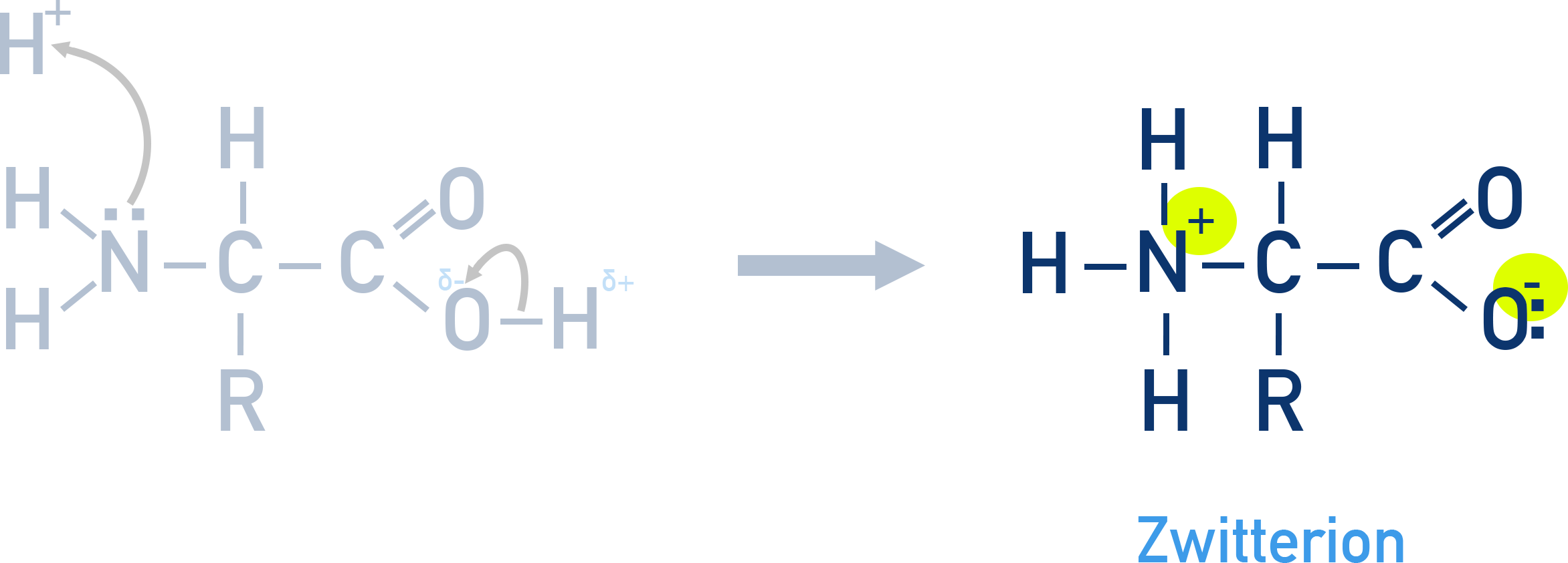 AQA A-Level Chemistry diagram showing formation of an amino acid zwitterion with NH3+ and COO− groups at the isoelectric point