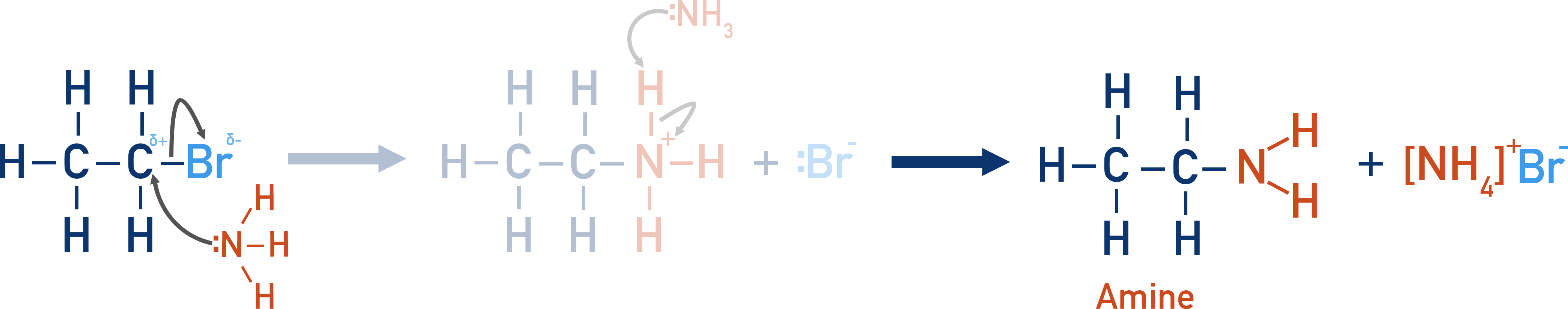 AQA A-Level Chemistry Excess ammonia in ethanol giving a primary amine from a halogenoalkane