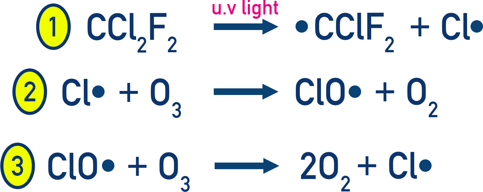 AQA A-Level Chemistry radical mechanism: Cl• reacts with ozone to form ClO• and O2, then ClO• reacts again to regenerate Cl• and form more O2