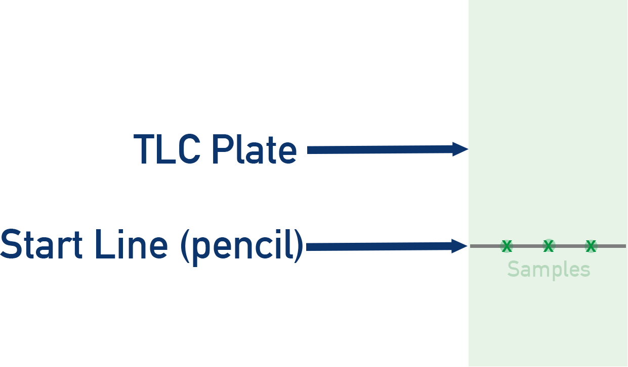 AQA A-Level Chemistry TLC plate with pencil baseline, sample spots marked evenly, applied using capillaries.