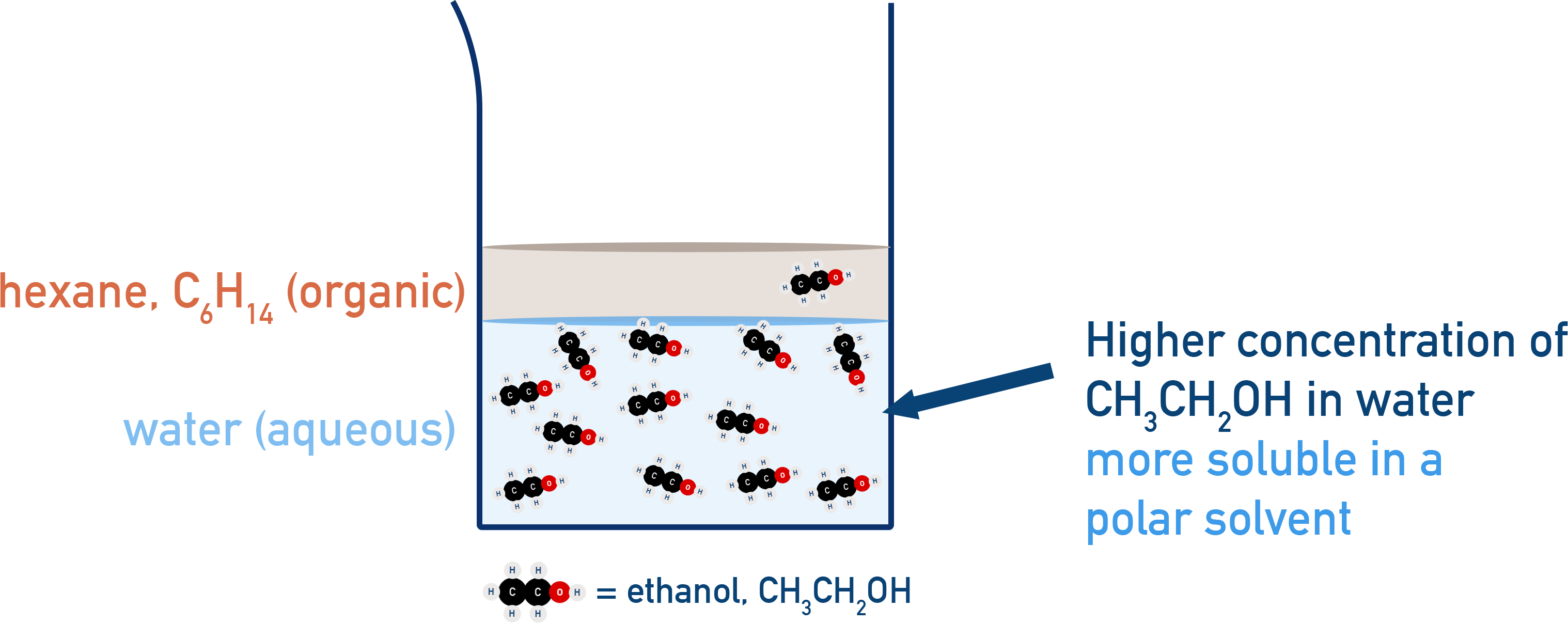 CIE A-Level Chemistry diagram showing ethanol partitioning more into the aqueous layer.