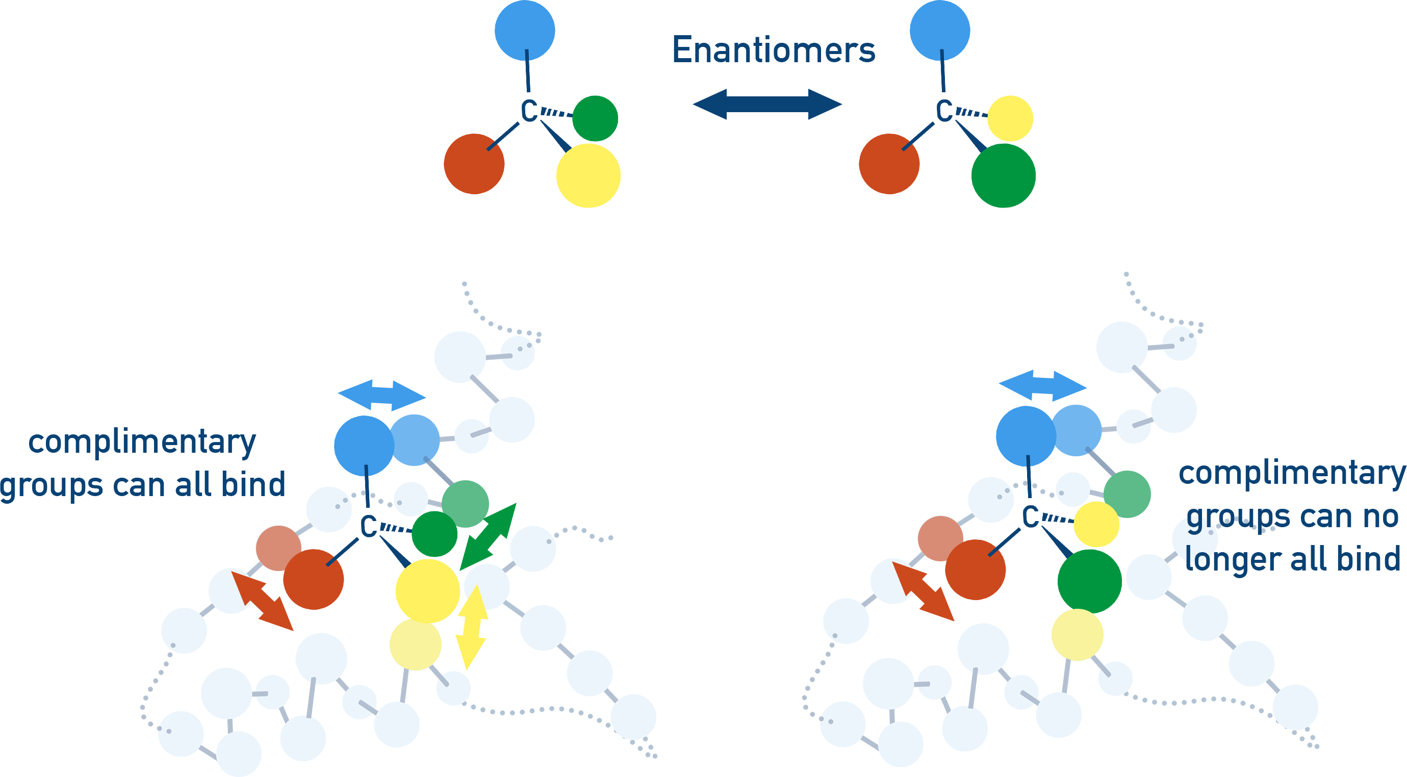CIE A-Level Chemistry diagram showing stereospecific enzyme active site binding only one enantiomer.