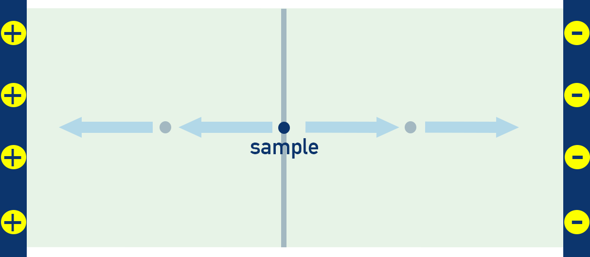 CIE A-Level Chemistry outline diagram of electrophoresis separating amino acids by charge.