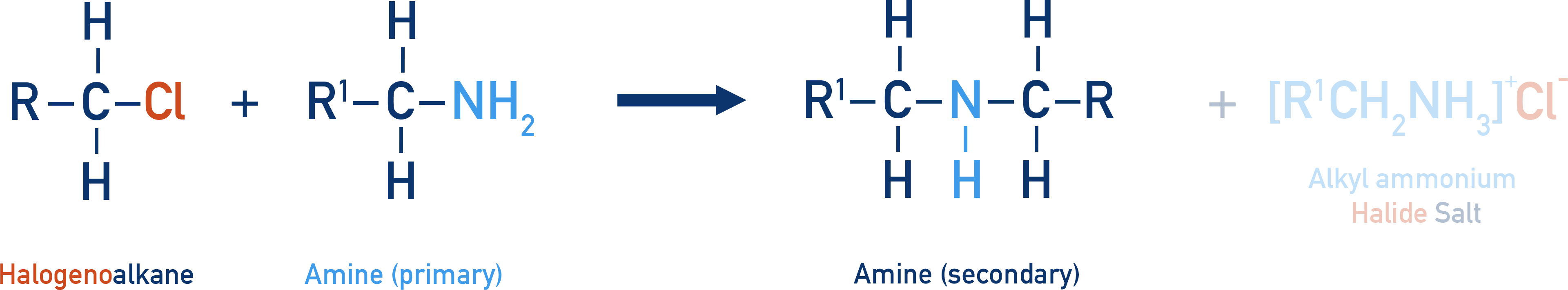 CIE A-Level Chemistry preparation of secondary amines from halogenoalkanes and primary amines.