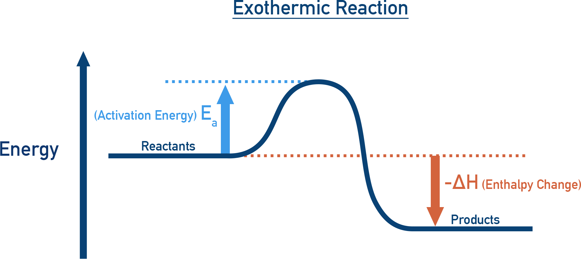 Exothermic reaction pathway diagram.