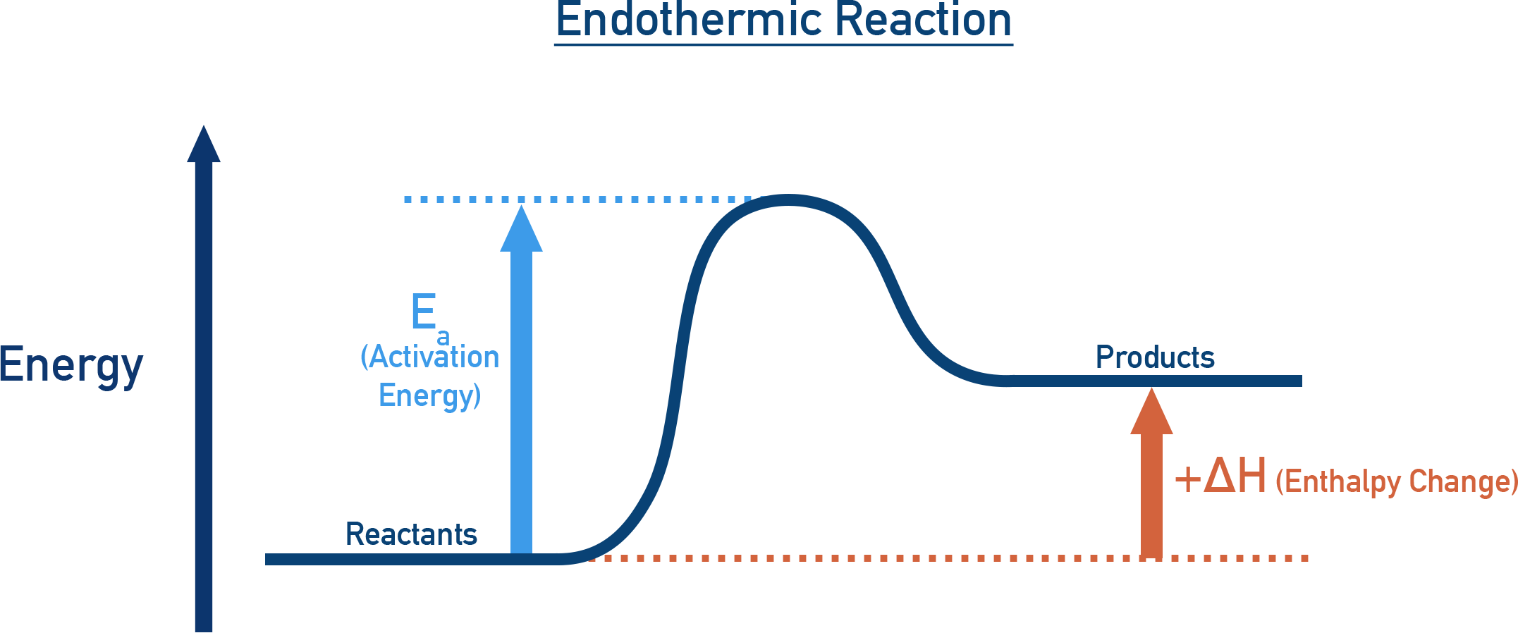 Endothermic reaction pathway diagram.