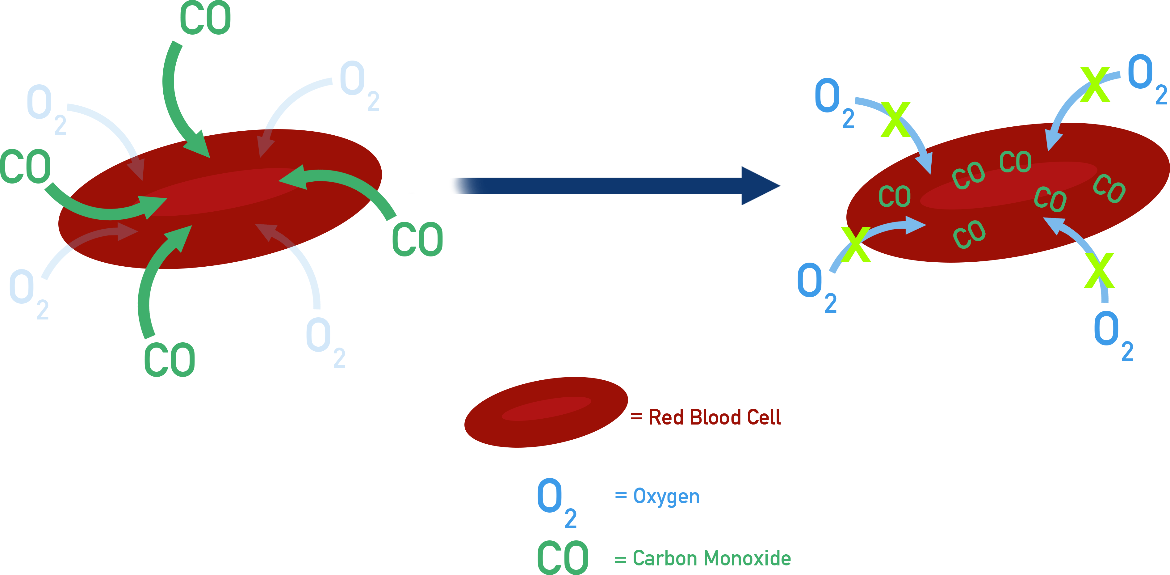 CIE A-Level Chemistry comparison of O2 vs CO binding to Fe2+ in haemoglobin showing stronger CO binding.