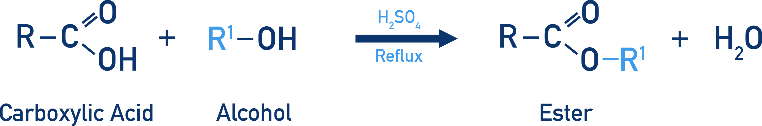 Edexcel A-Level Chemistry esterification of a carboxylic acid with an alcohol using concentrated sulfuric acid.