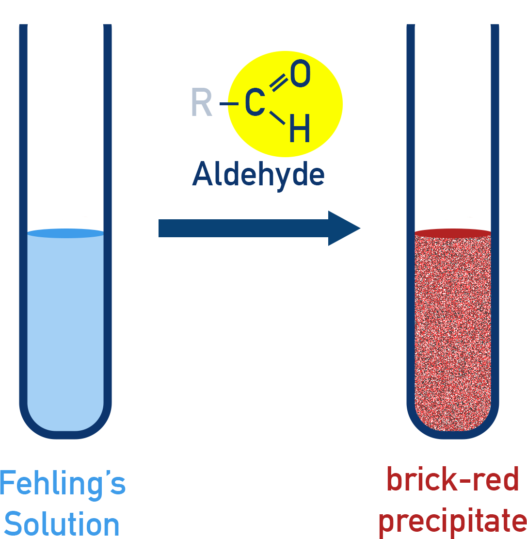Edexcel A-Level Chemistry Fehling’s solution test showing blue to brick-red precipitate for aldehydes.