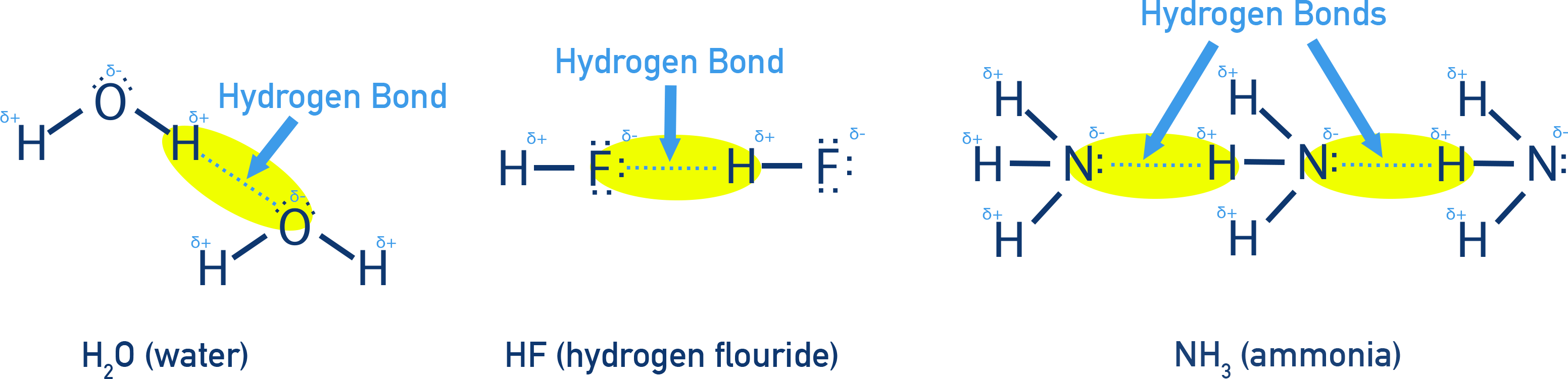 Edexcel A-Level Chemistry diagram showing hydrogen bonding between molecules with O–H or N–H bonds.
