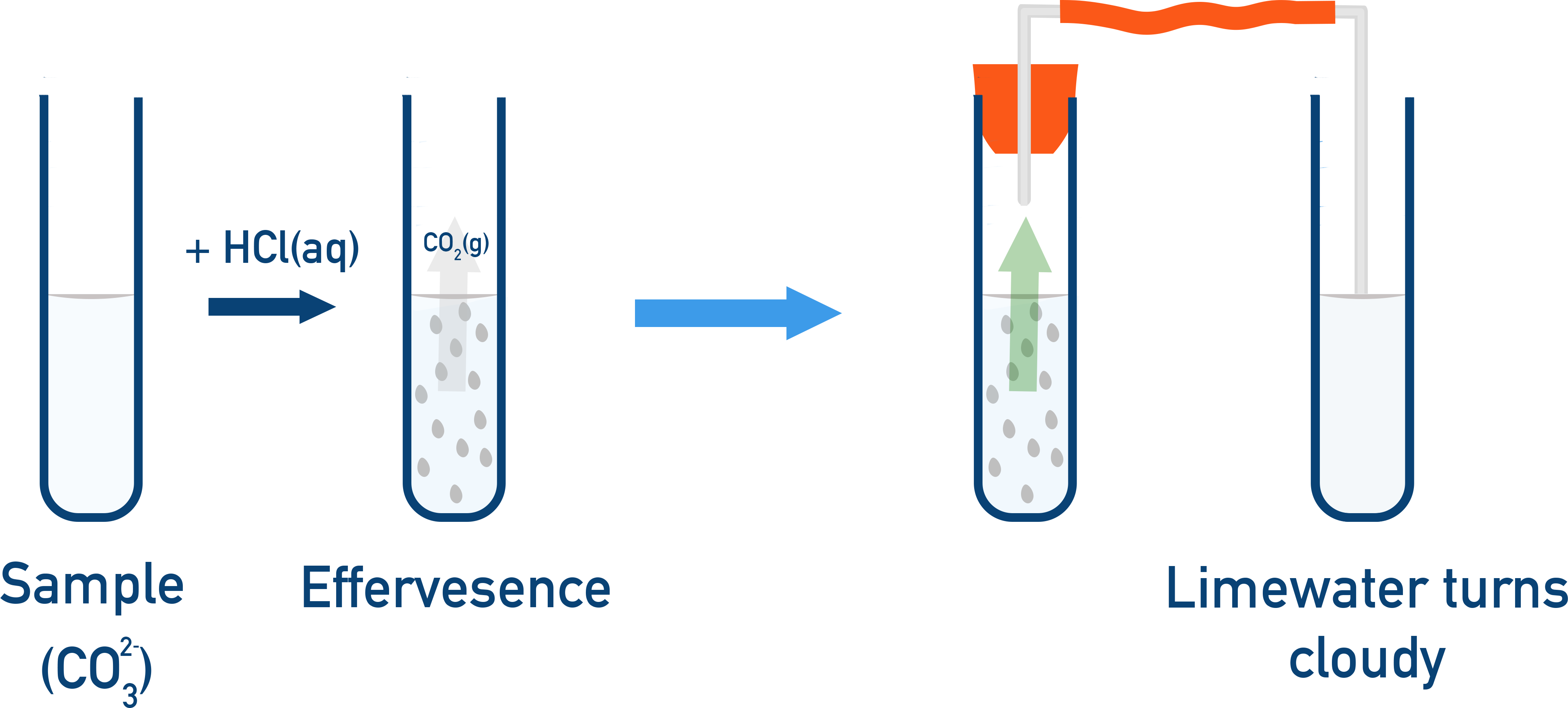 Edexcel A-Level Chemistry test for carbonate and hydrogencarbonate ions showing effervescence with acid and CO2 confirmation using limewater.