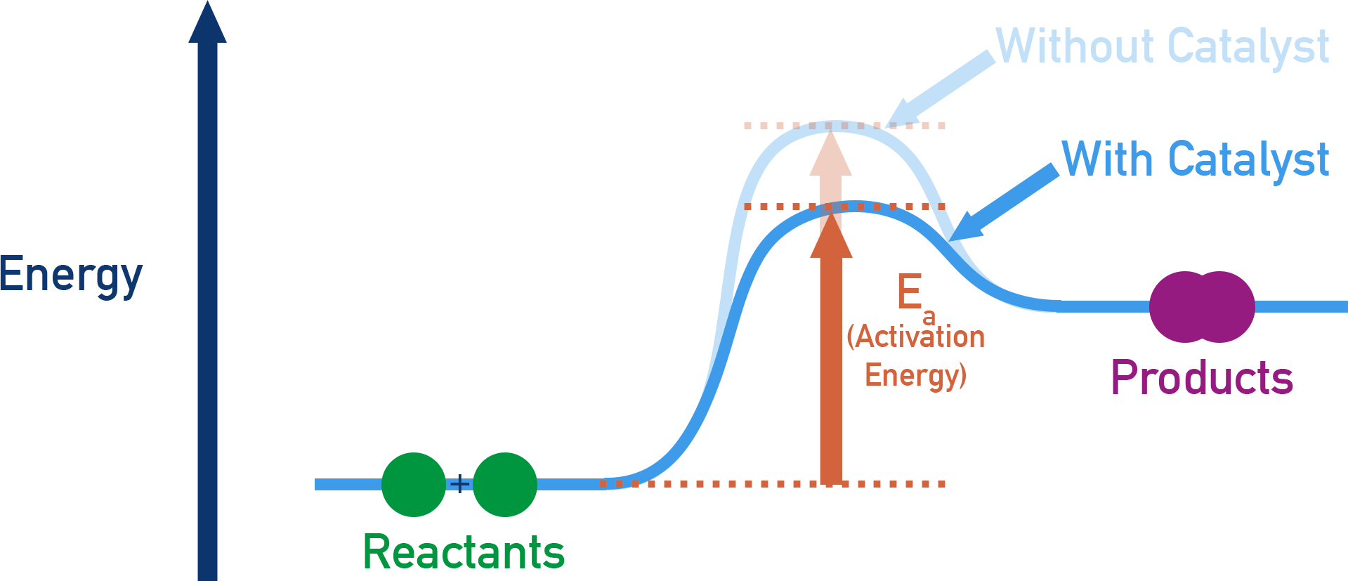 Edexcel A-Level Chemistry reaction profile diagram comparing uncatalysed and catalysed pathways with lower activation energy for the catalysed route.