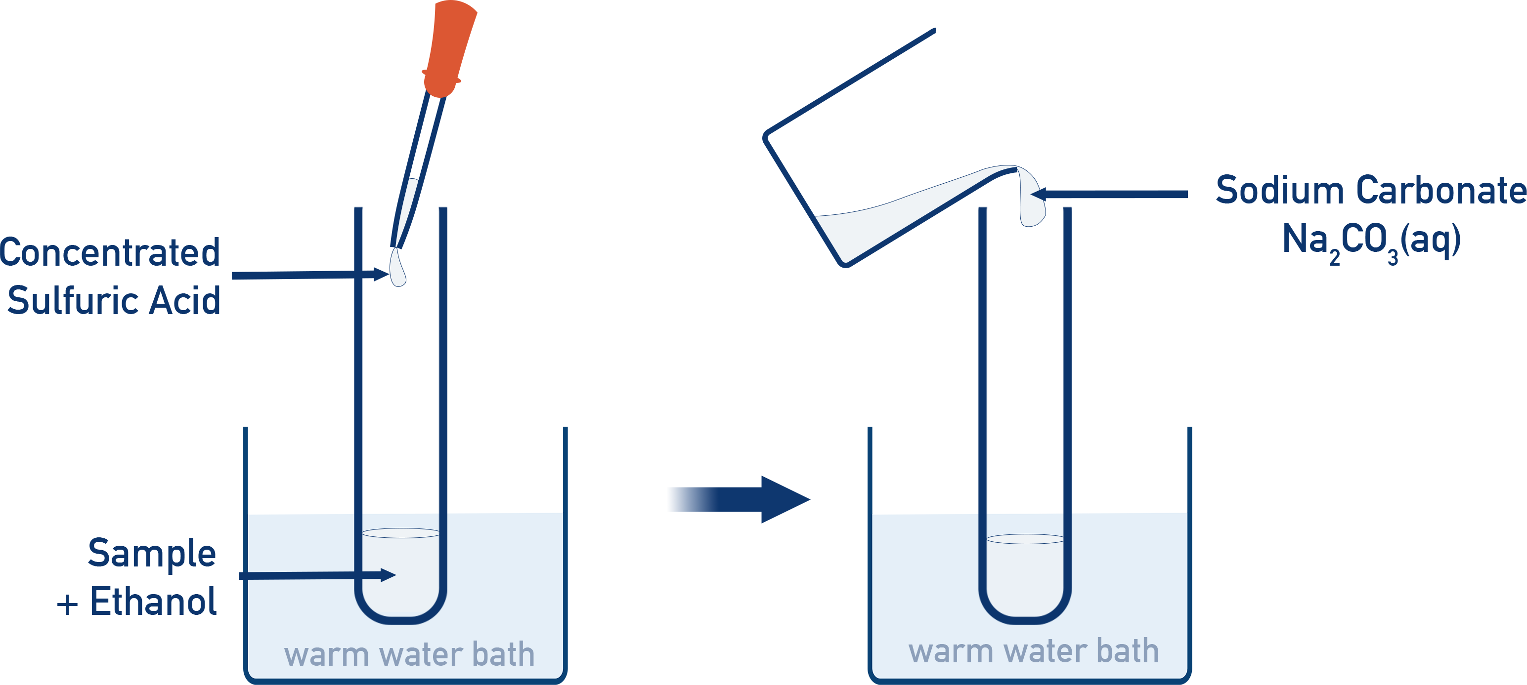 Carboxylic acid esterification test