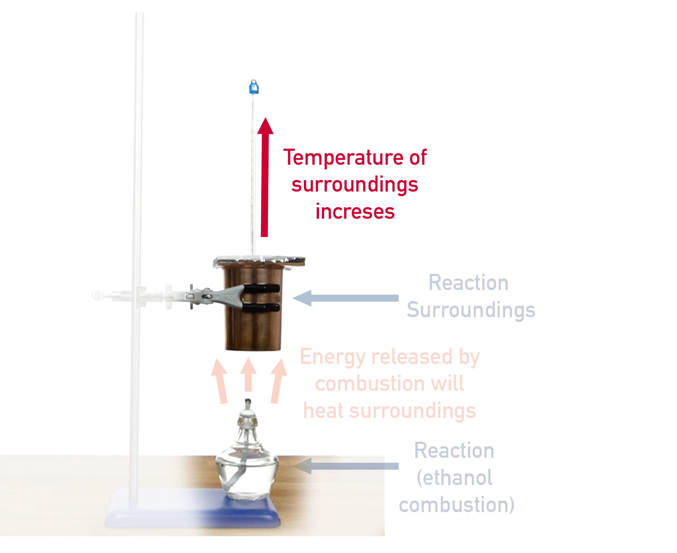 IB Chemistry calorimetry experiment setup for measuring enthalpy of combustion using a spirit burner and water calorimeter.