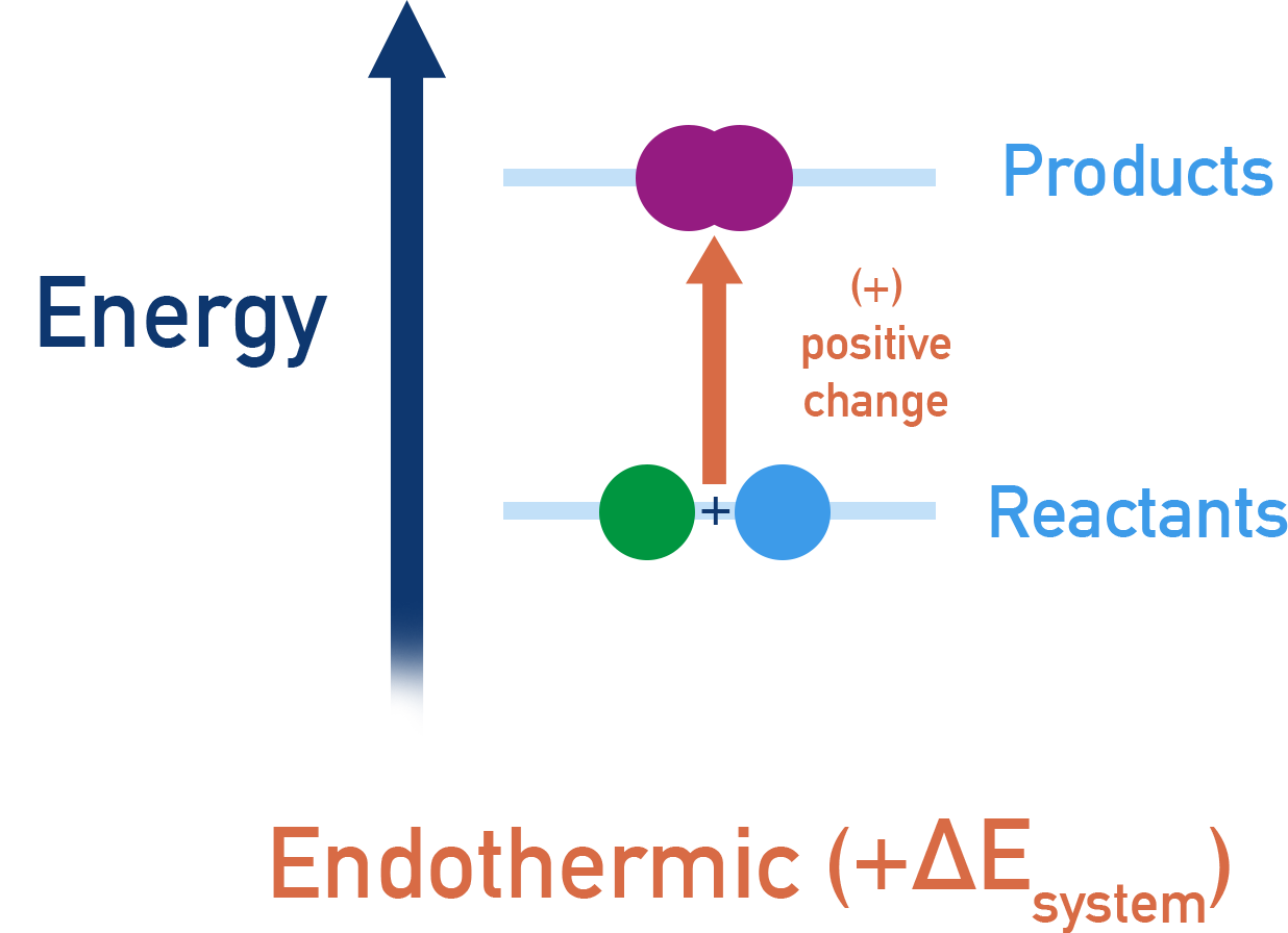 IB Chemistry diagram showing energy profile of an endothermic reaction with products higher in energy than reactants and energy absorbed from surroundings.
