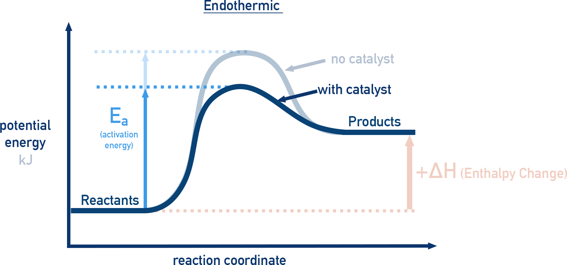 IB Chemistry endothermic energy profile diagram with and without a catalyst.
