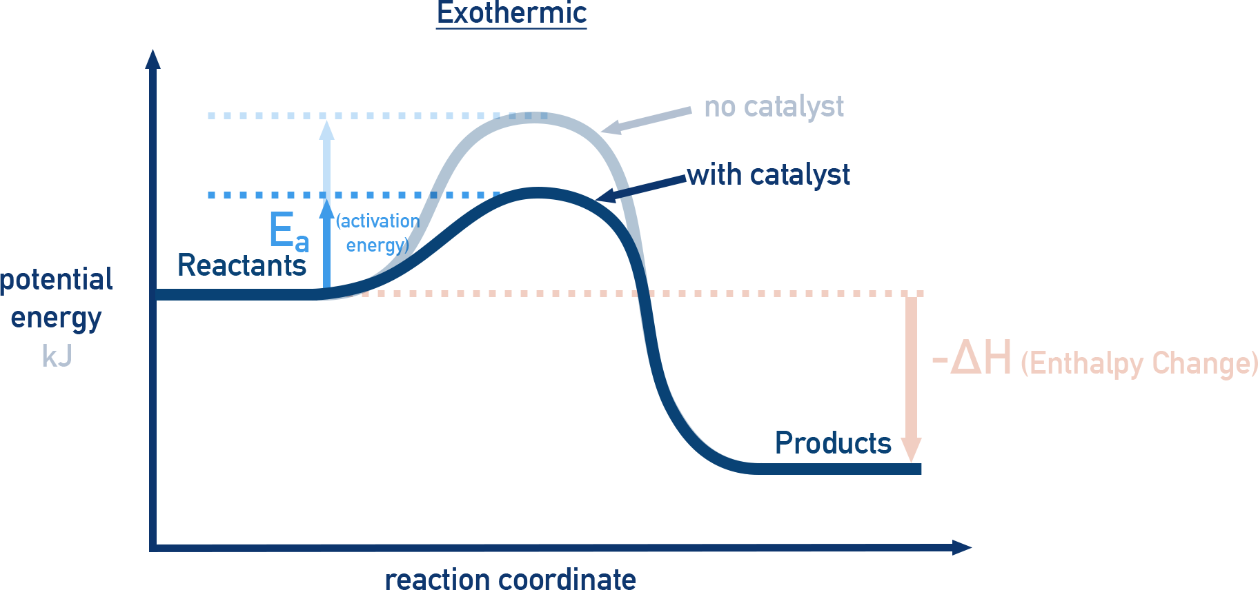 IB Chemistry exothermic energy profile diagram with and without a catalyst.