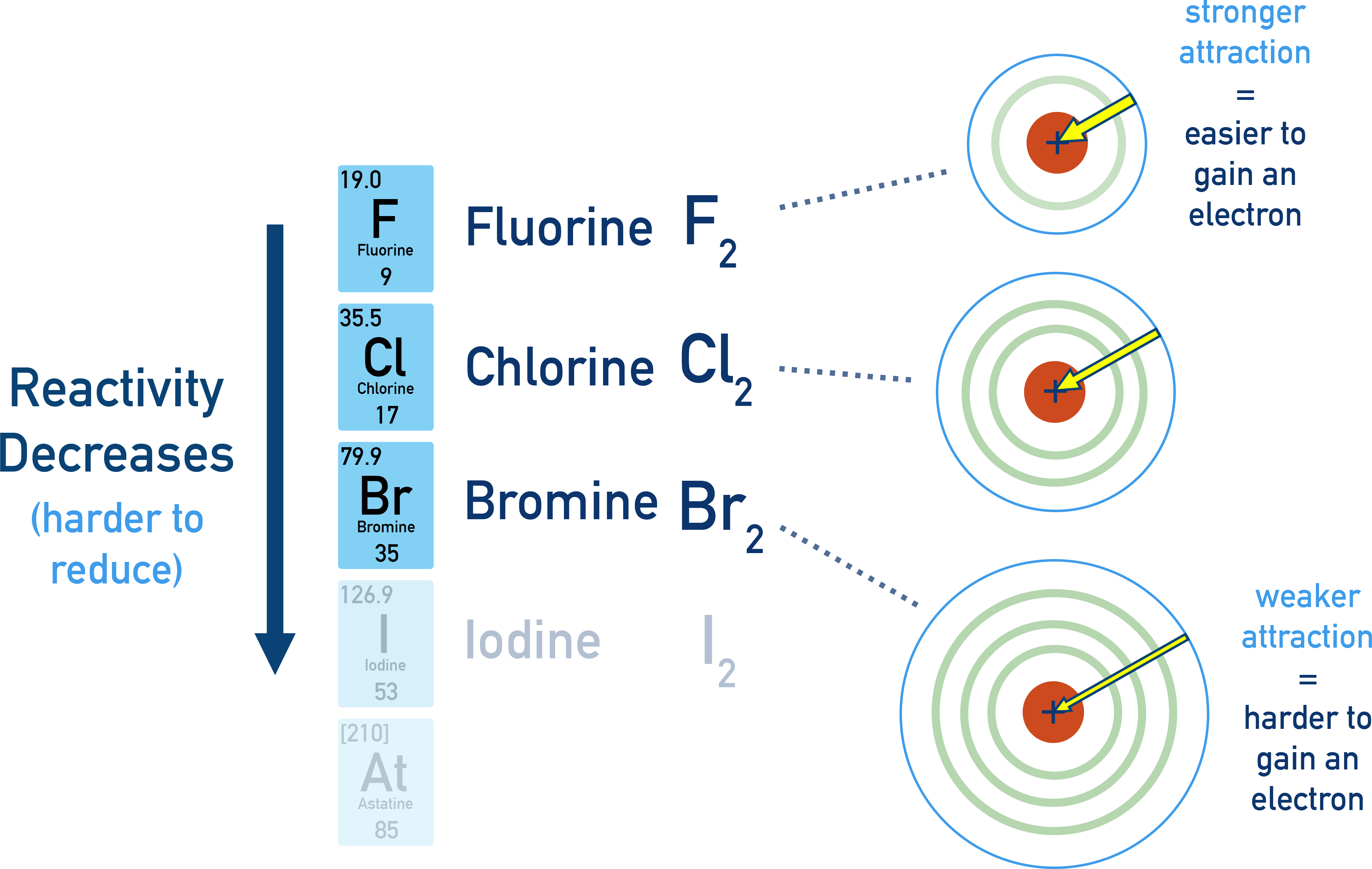 IB Chemistry diagram showing decreasing reactivity of halogens down Group 17 due to weaker attraction for added electrons.