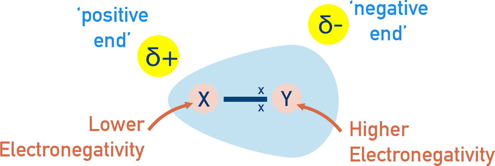 IB Chemistry diagram showing polar bond with unequal electron sharing and partial charges δ⁺ and δ⁻.