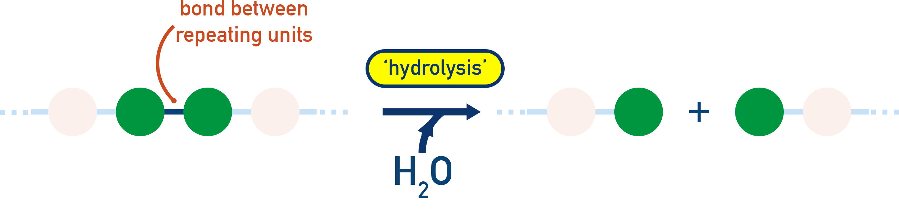 IB Chemistry diagram showing hydrolysis of condensation polymer linkages by acid, base, or enzymes leading to chain breakdown.