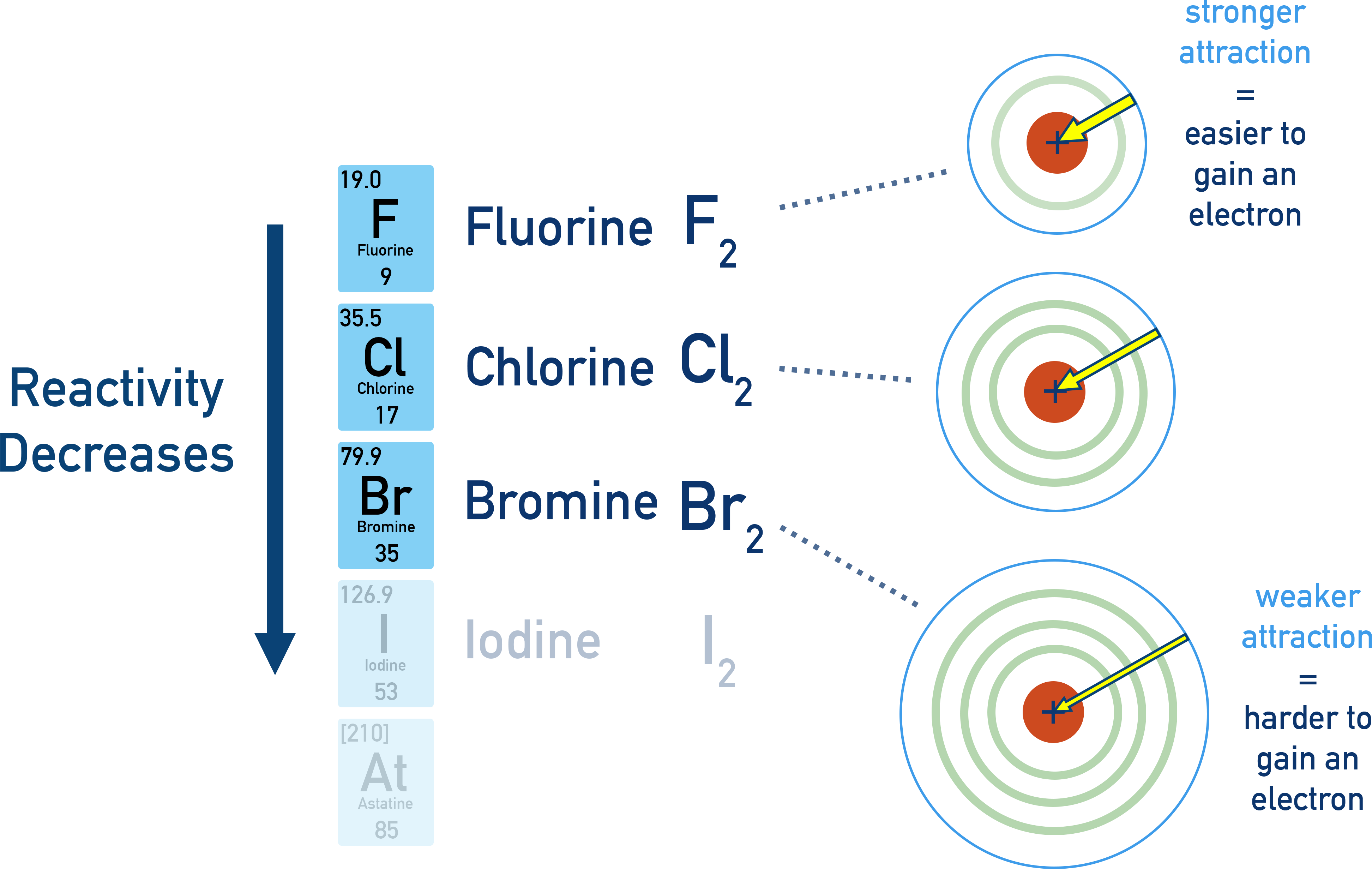 IB Chemistry diagram showing decreasing non-metallic reactivity of halogens down Group 17.