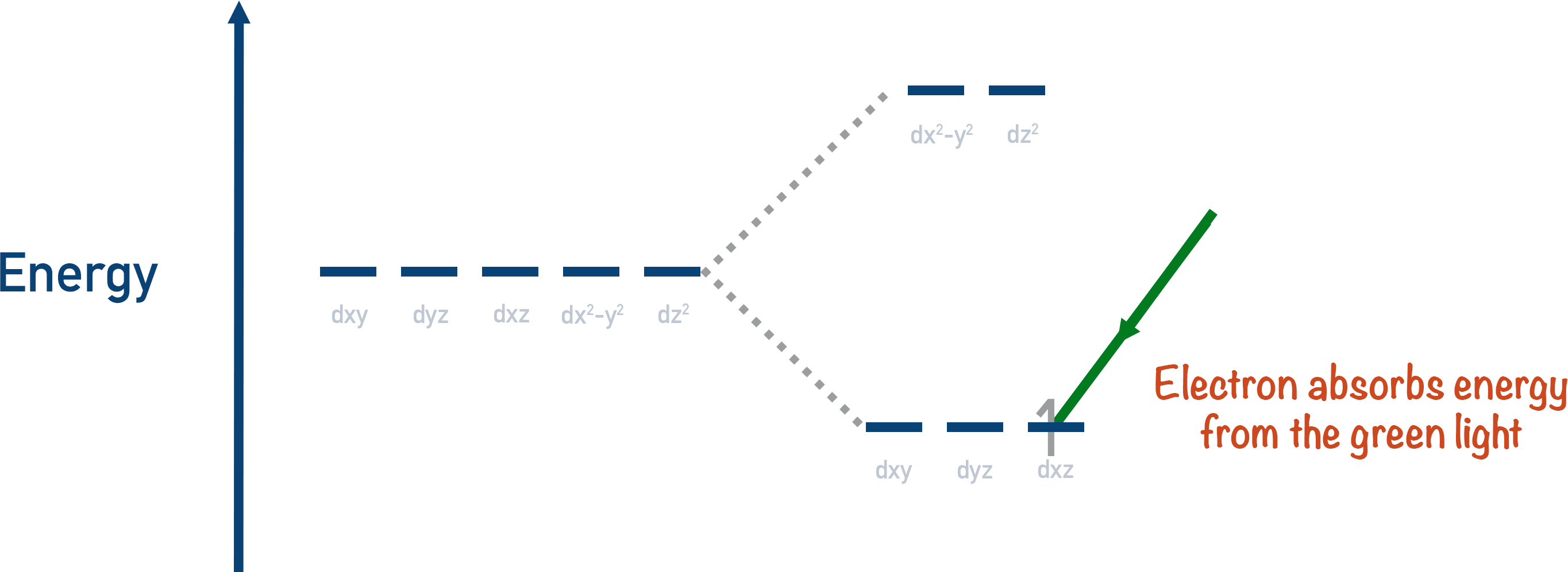 electron absorb green light wavelength d-orbital