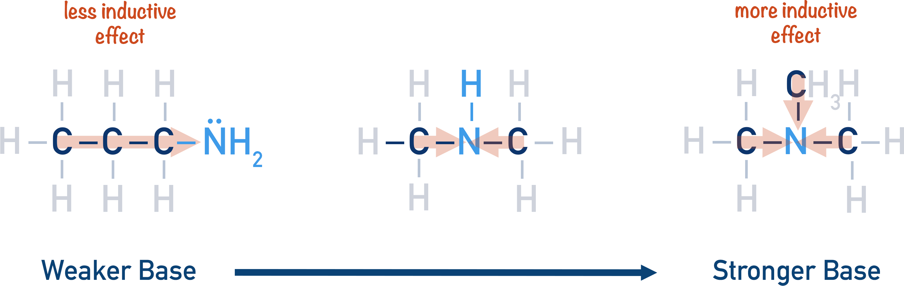 basicity primary secondary tertiary amine inductive effect