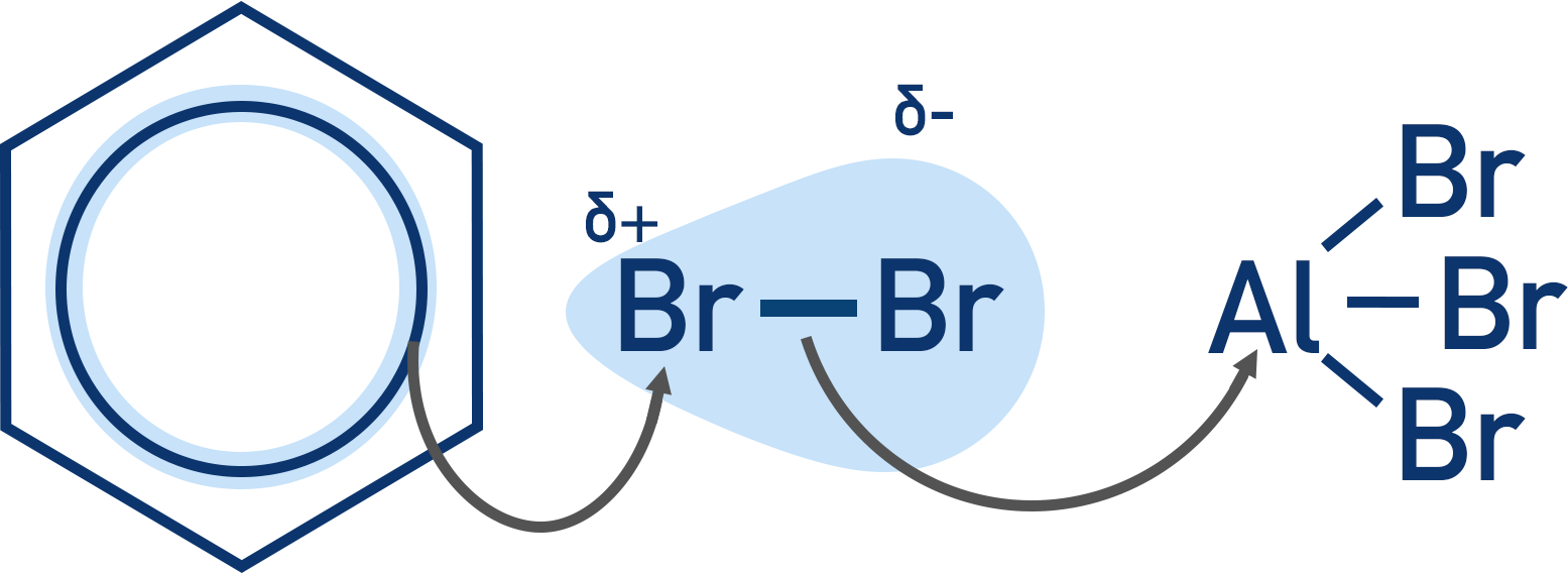 benzene with bromine halogen carrier bromination of benzene a-level chemistry