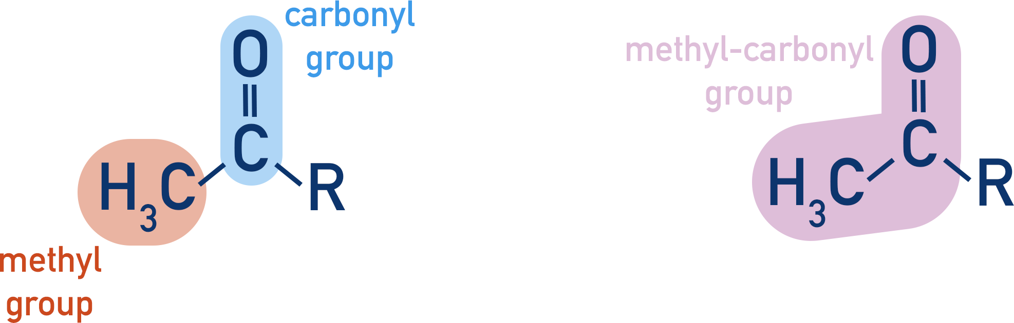 methyl group carbonyl group methyl-carbonyl