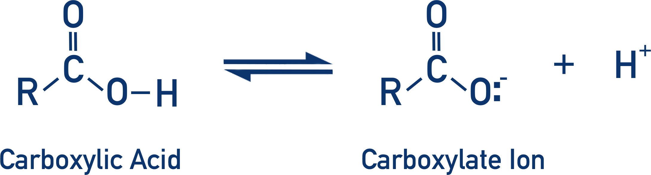 dissociation of carboxylic acid to carboxylate ion