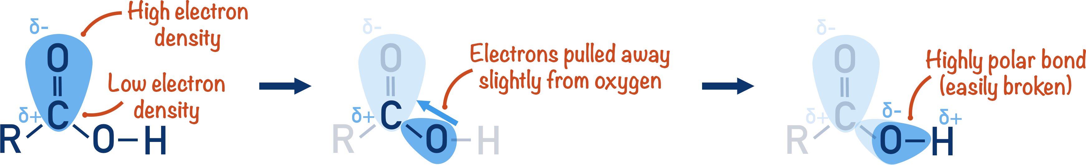 polarity of carboxylic acid