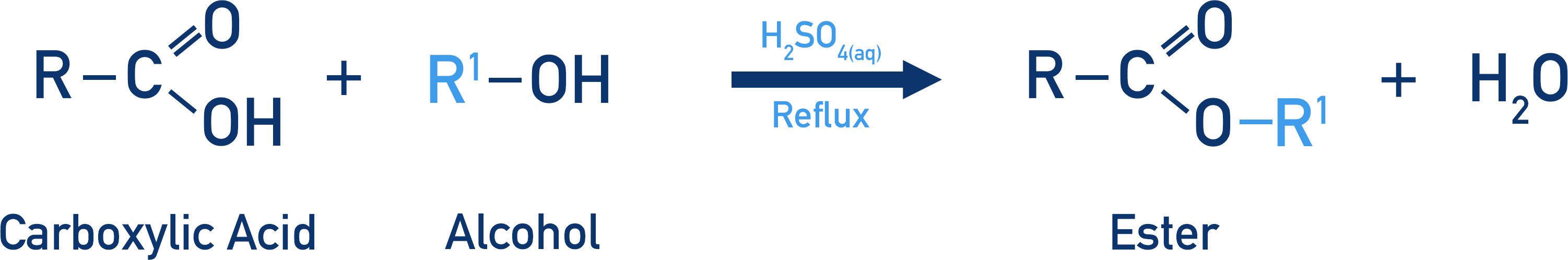 carboxylic acid and alcohol to form ester and water esterification