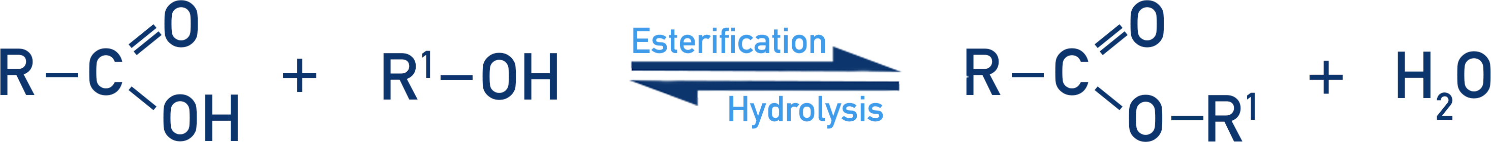 hydrolysis of ester and esterification of carboxylic acid and alcohol