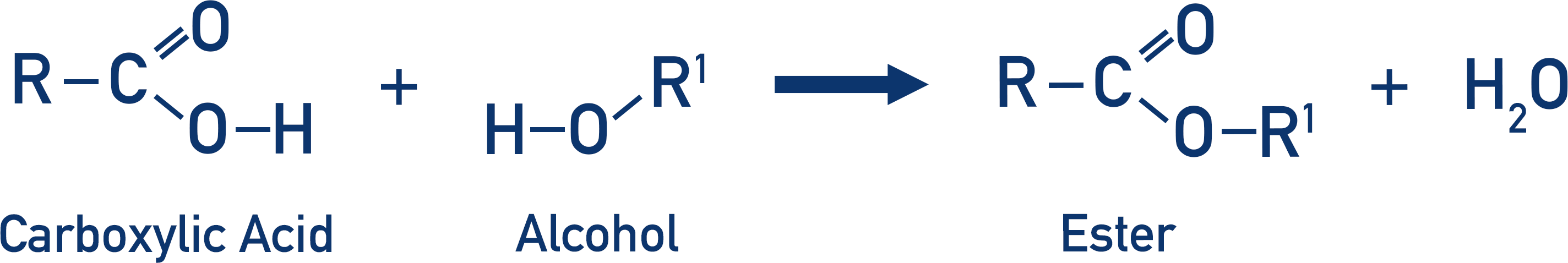 carboxylic acid and alcohol to form ester and water esterification